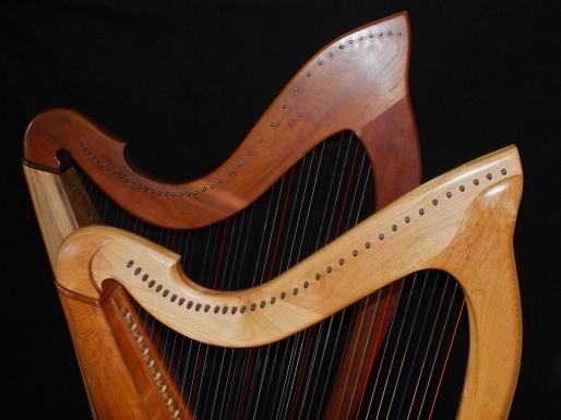 Celtic Harp Duo